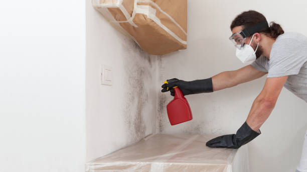 Professional Bathroom Mold Removal technician working in Saint Francis, MN