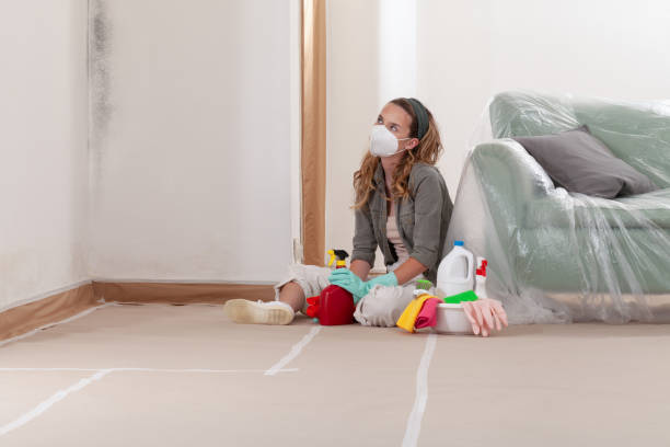 Reliable Bathroom Mold Removal contractor in Saint Francis, MN by Mold Remediation HQ